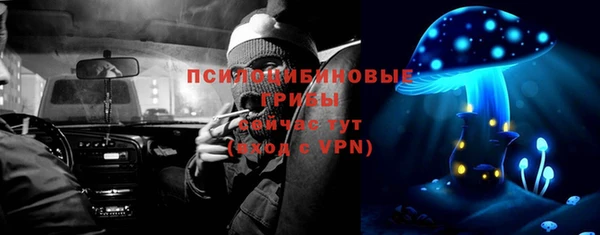 тгк Алексин