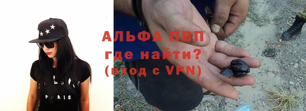 крисы Аркадак