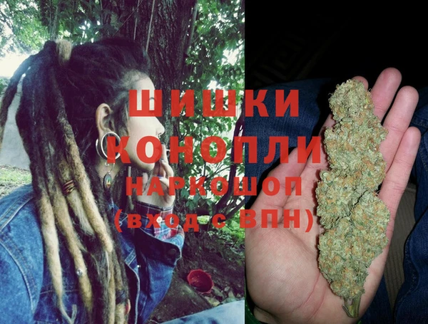 крисы Аркадак