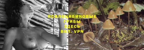 крисы Аркадак