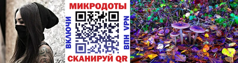 Псилоцибиновые грибы Psilocybe  Таруса 