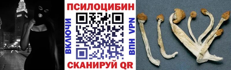 Галлюциногенные грибы Magic Shrooms Таруса